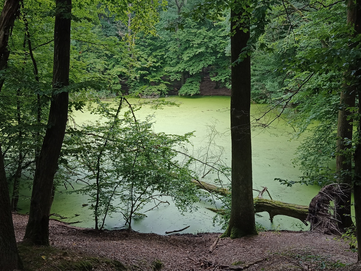 Poznań na koniec 